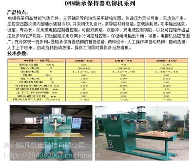 【DNM系列轴承保持器电铆机图片】DNM系列轴承保持器电铆机